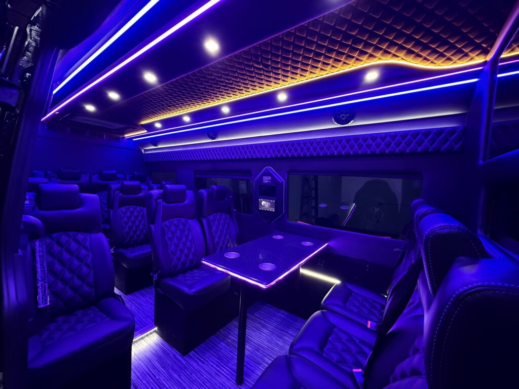 14-passenger-sprinter-van